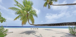 Reisen Malediven 2025/2026